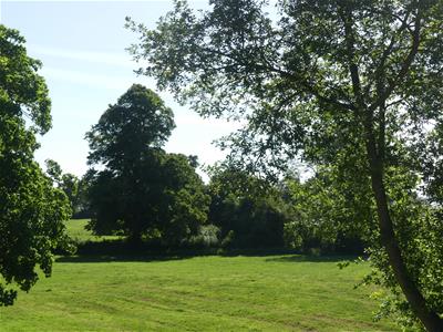 Picture 23